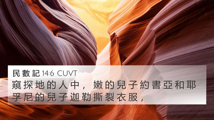 民 數 記 14:6 CUVT Bible Verse Image