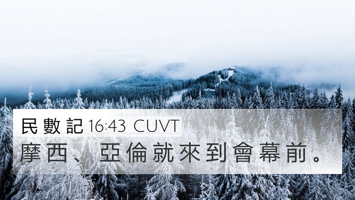 民 數 記 16:43 CUVT 4K Wallpaper - 摩 西 、 亞 倫 就 來 到 會 幕 前 - 4K Wallpaper Bible Verse