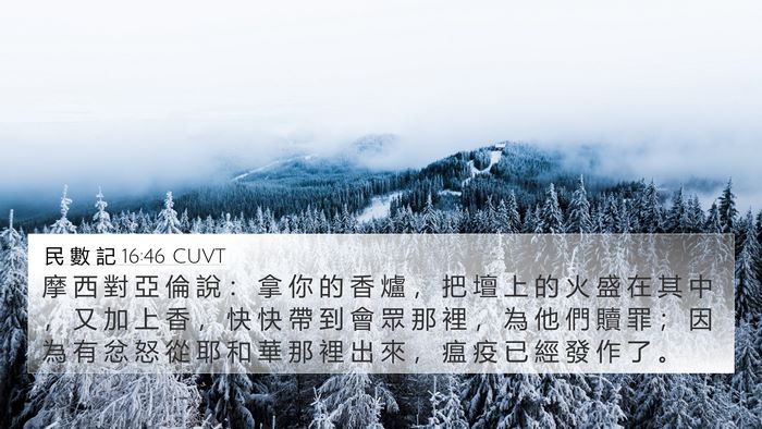 民 數 記 16:46 CUVT Bible Verse Image