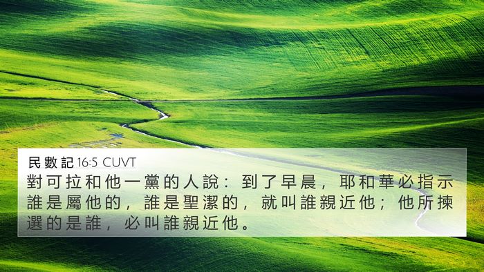 民 數 記 16:5 CUVT Bible Verse Image