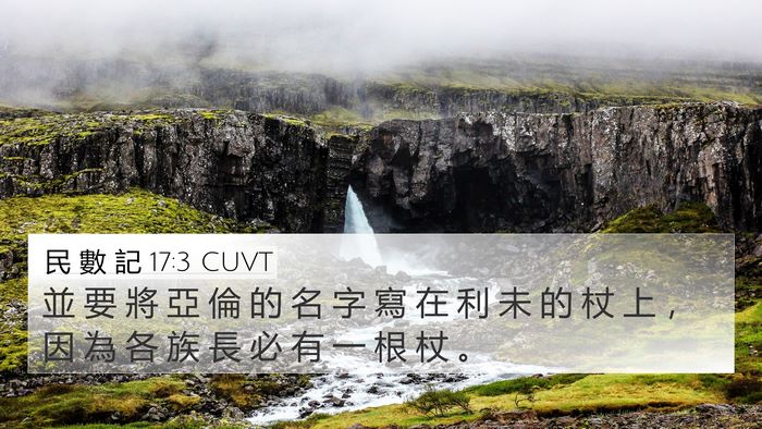 民 數 記 17:3 CUVT Bible Verse Image