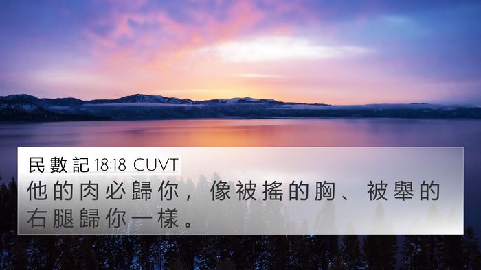 民 數 記 18:18 CUVT Bible Verse Image