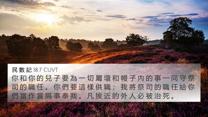 民 數 記 18:7 CUVT Bible Verse Image