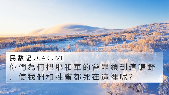 民 數 記 20:4 CUVT Bible Verse Image