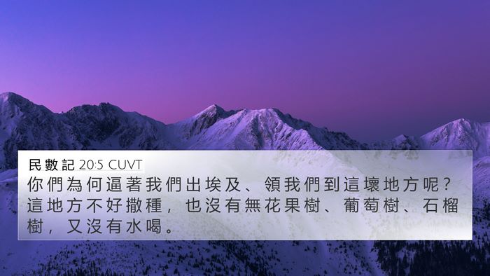 民 數 記 20:5 CUVT 4K Wallpaper - 你 們 為 何 逼 著 我 們 出 埃 及 、 - 4K Wallpaper Bible Verse