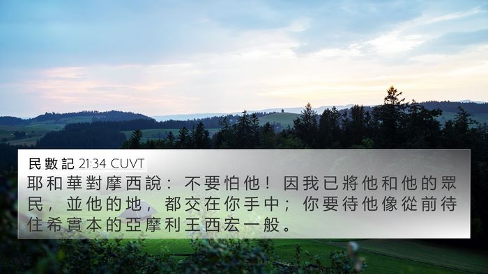 民 數 記 21:34 CUVT Bible Verse Image