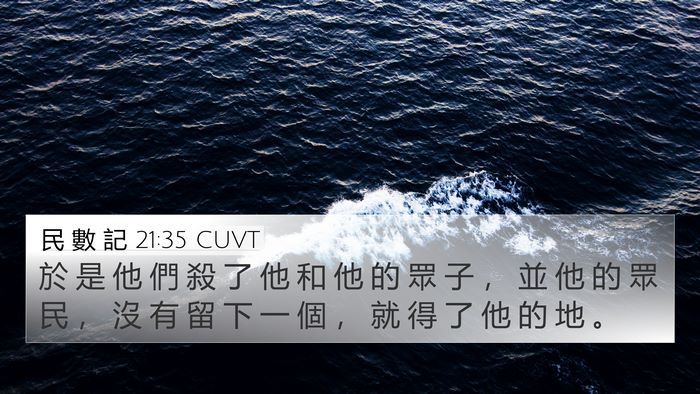 民 數 記 21:35 CUVT Bible Verse Image