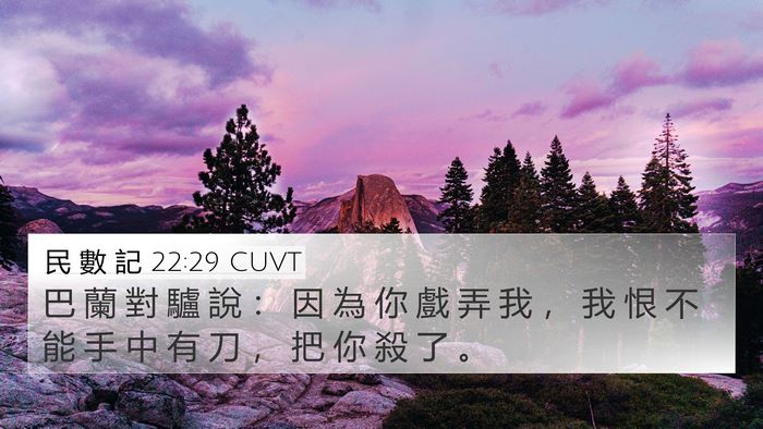 民 數 記 22:29 CUVT 4K Wallpaper - 巴 蘭 對 驢 說 ： 因 為 你 戲 弄 我 - 4K Wallpaper Bible Verse