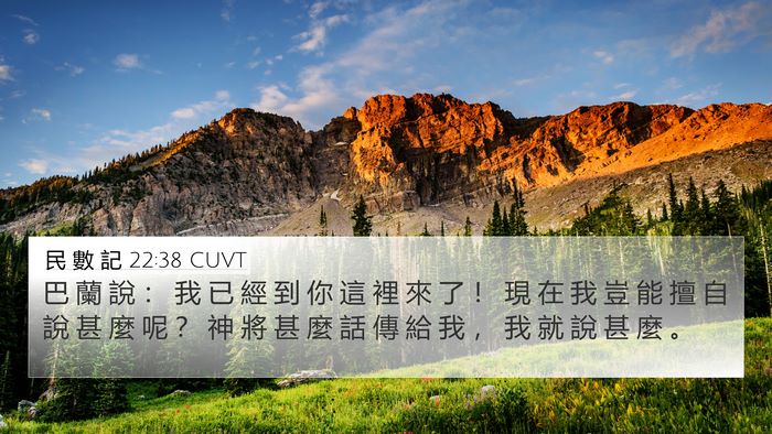 民 數 記 22:38 CUVT Bible Verse Image