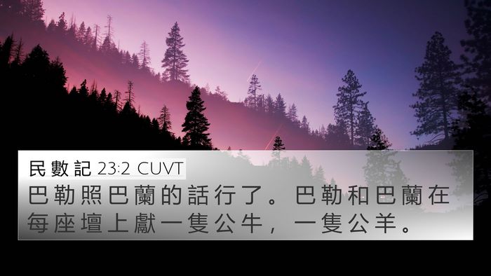 民 數 記 23:2 CUVT 4K Wallpaper - 巴 勒 照 巴 蘭 的 話 行 了 。 巴 勒 - 4K Wallpaper Bible Verse
