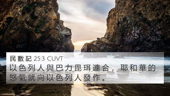 民 數 記 25:3 CUVT Bible Verse Image