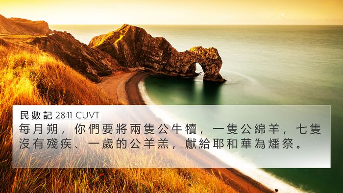 民 數 記 28:11 CUVT Bible Verse Image