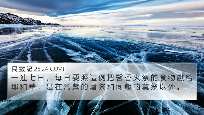 民 數 記 28:24 CUVT 4K Wallpaper - 一 連 七 日 ， 每 日 要 照 這 例 把 - 4K Wallpaper Bible Verse