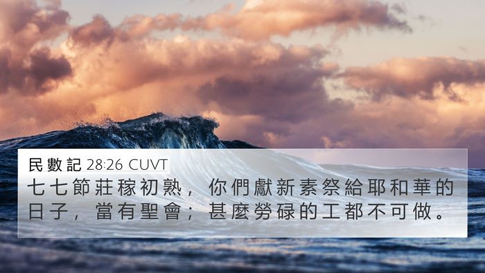 民 數 記 28:26 CUVT Bible Verse Image