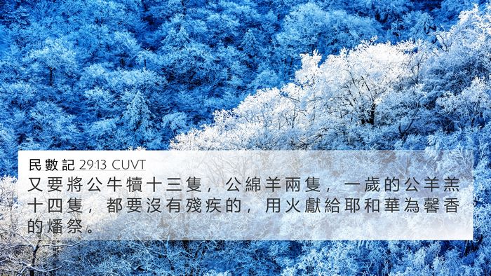 民 數 記 29:13 CUVT Bible Verse Image