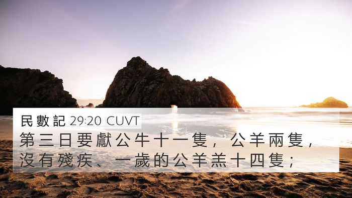 民 數 記 29:20 CUVT Bible Verse Image