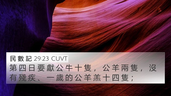 民 數 記 29:23 CUVT 4K Wallpaper - 第 四 日 要 獻 公 牛 十 隻 ， 公 羊 - 4K Wallpaper Bible Verse