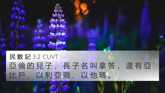 民 數 記 3:2 CUVT Bible Verse Image