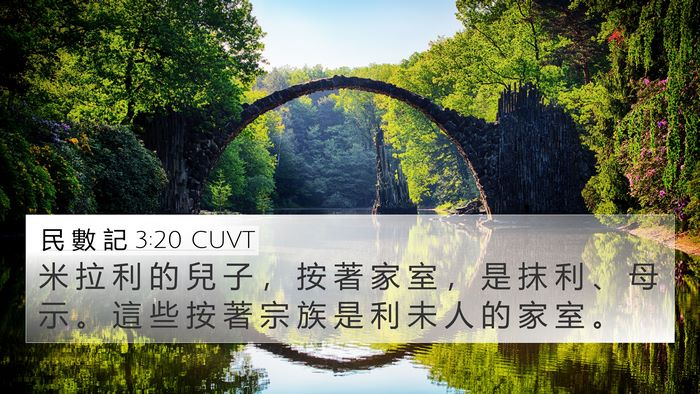 民 數 記 3:20 CUVT Bible Verse Image
