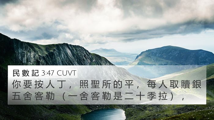 民 數 記 3:47 CUVT Bible Verse Image