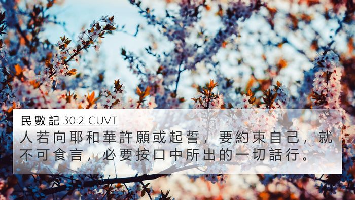 民 數 記 30:2 CUVT Bible Verse Image