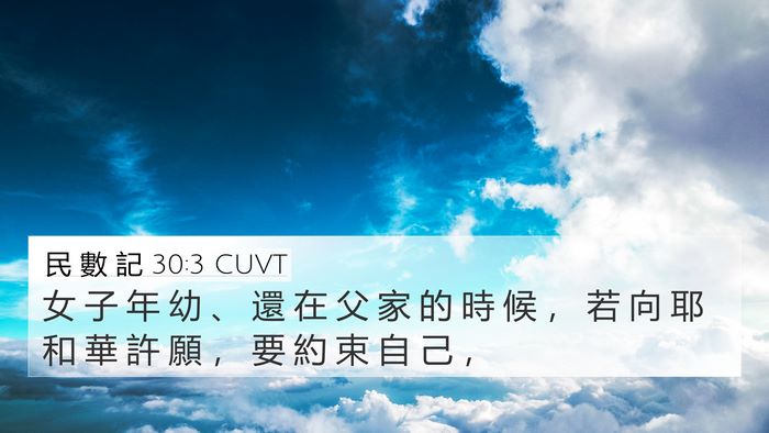 民 數 記 30:3 CUVT Bible Verse Image