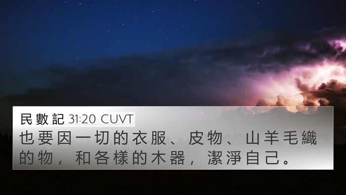 民 數 記 31:20 CUVT Bible Verse Image