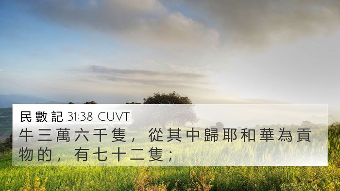 民 數 記 31:38 CUVT 4K Wallpaper - 牛 三 萬 六 千 隻 ， 從 其 中 歸 耶 - 4K Wallpaper Bible Verse