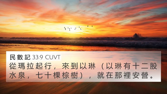 民 數 記 33:9 CUVT Bible Verse Image