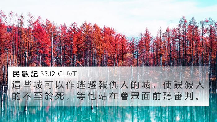 民 數 記 35:12 CUVT Bible Verse Image