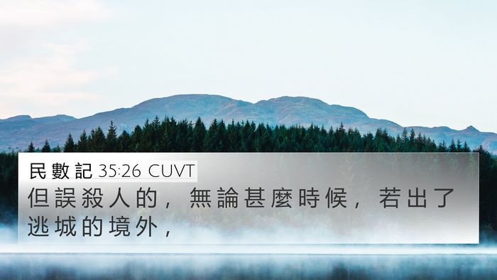 民 數 記 35:26 CUVT 4K Wallpaper - 但 誤 殺 人 的 ， 無 論 甚 麼 時 候 - 4K Wallpaper Bible Verse
