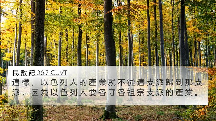 民 數 記 36:7 CUVT Bible Verse Image