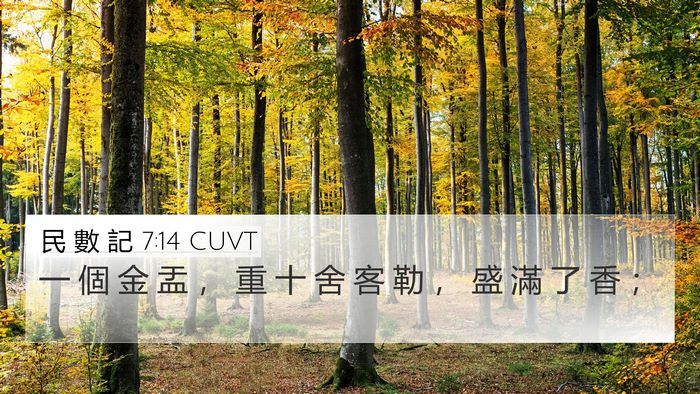 民 數 記 7:14 CUVT 4K Wallpaper - 一 個 金 盂 ， 重 十 舍 客 勒 ， 盛 - 4K Wallpaper Bible Verse