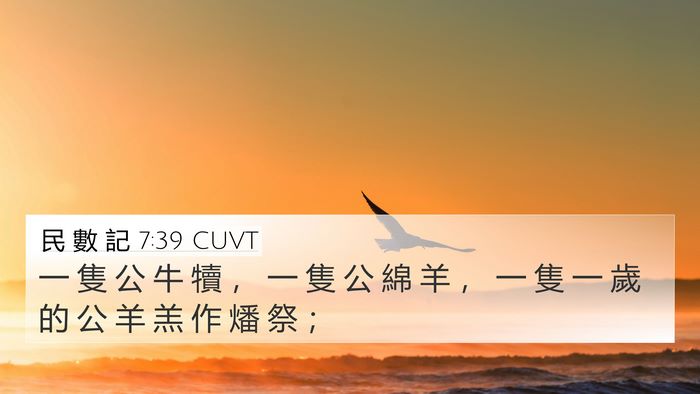 民 數 記 7:39 CUVT 4K Wallpaper - 一 隻 公 牛 犢 ， 一 隻 公 綿 羊 ， - 4K Wallpaper Bible Verse