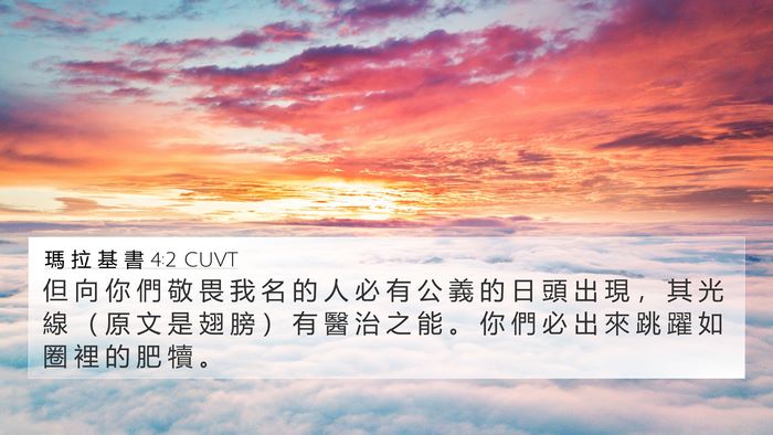 瑪 拉 基 書 4:2 CUVT Bible Verse Image