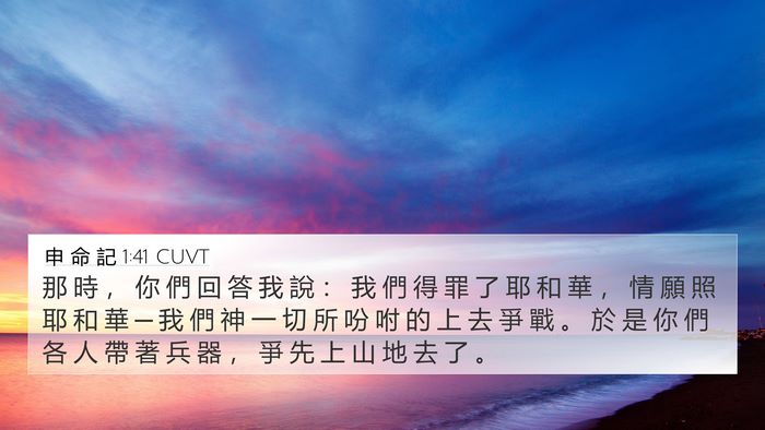 申 命 記 1:41 CUVT 4K Wallpaper - 那 時 ， 你 們 回 答 我 說 ： 我 們 - 4K Wallpaper Bible Verse