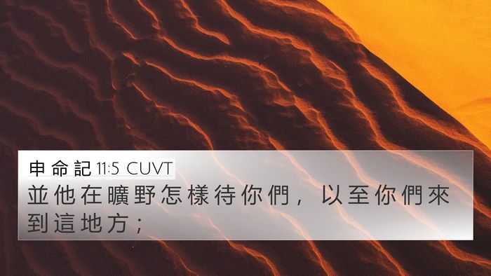 申 命 記 11:5 CUVT 4K Wallpaper - 並 他 在 曠 野 怎 樣 待 你 們 ， 以 - 4K Wallpaper Bible Verse