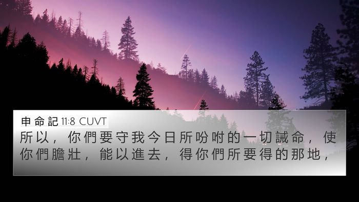 申 命 記 11:8 CUVT 4K Wallpaper - 所 以 ， 你 們 要 守 我 今 日 所 吩 - 4K Wallpaper Bible Verse