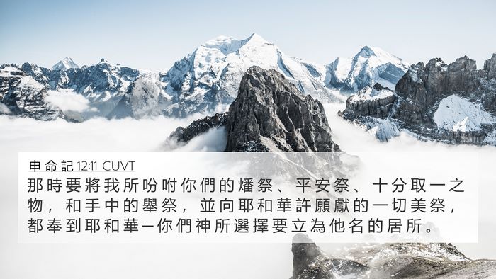 申 命 記 12:11 CUVT Bible Verse Image