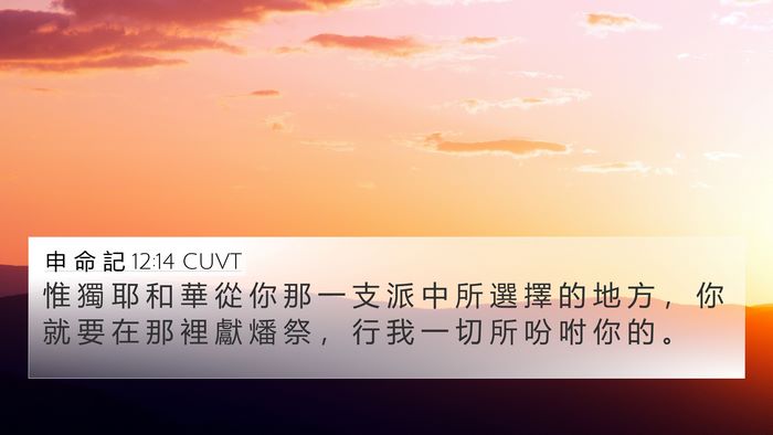申 命 記 12:14 CUVT Bible Verse Image