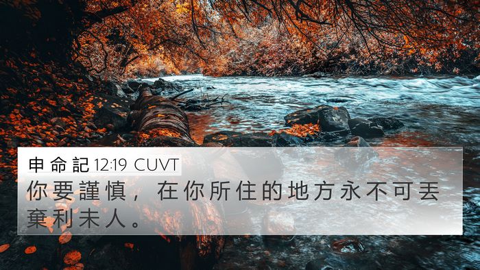 申 命 記 12:19 CUVT Bible Verse Image