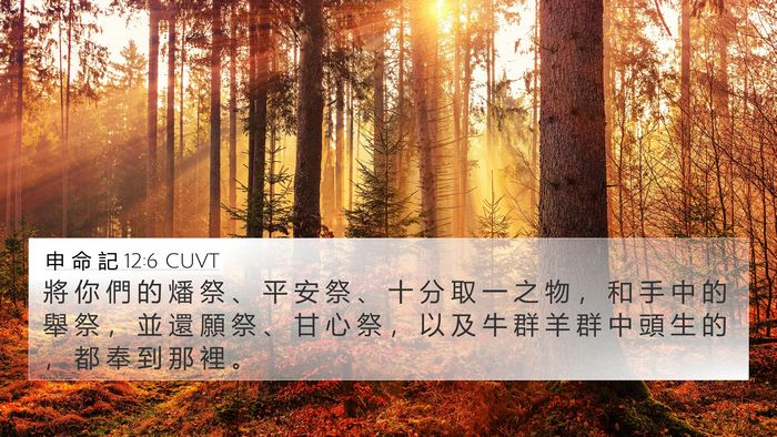 申 命 記 12:6 CUVT Bible Verse Image