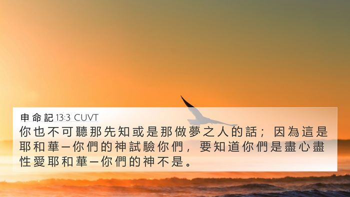 申 命 記 13:3 CUVT Bible Verse Image