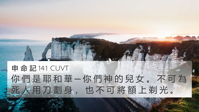 申 命 記 14:1 CUVT Bible Verse Image