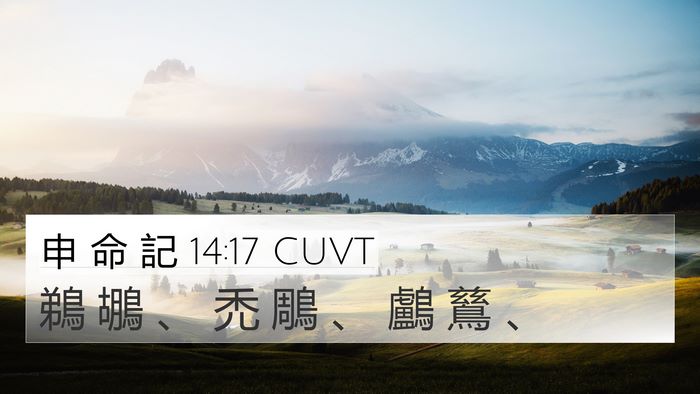 申 命 記 14:17 CUVT 4K Wallpaper - 鵜 鶘 、 禿 鵰 、 鸕 鶿 - 4K Wallpaper Bible Verse
