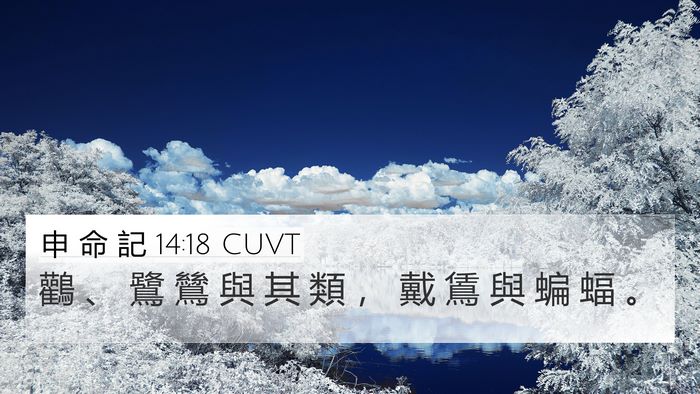 申 命 記 14:18 CUVT 4K Wallpaper - 鸛 、 鷺 鷥 與 其 類 ， 戴 鵀 與 蝙 - 4K Wallpaper Bible Verse