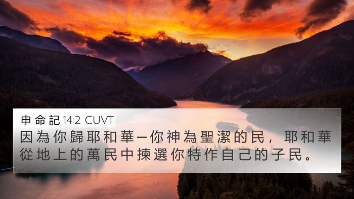 申 命 記 14:2 CUVT Bible Verse Image