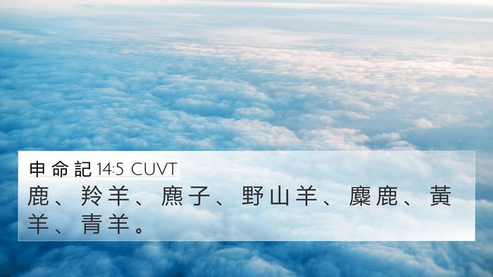 申 命 記 14:5 CUVT 4K Wallpaper - 鹿 、 羚 羊 、 麃 子 、 野 山 羊 、 - 4K Wallpaper Bible Verse