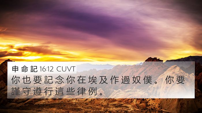 申 命 記 16:12 CUVT Bible Verse Image
