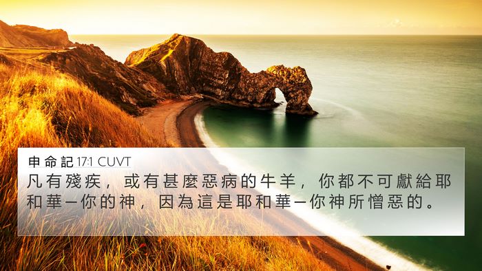 申 命 記 17:1 CUVT Bible Verse Image
